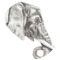 The Cole Museum of Zoology